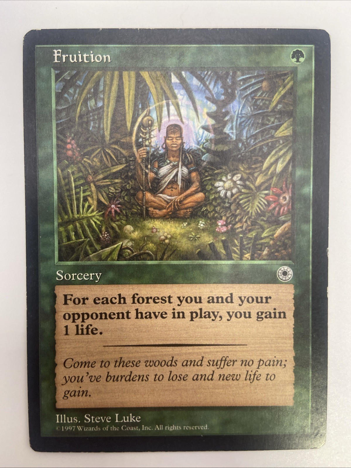 MTG Fruition Common Portal Magic: The Gathering-MP