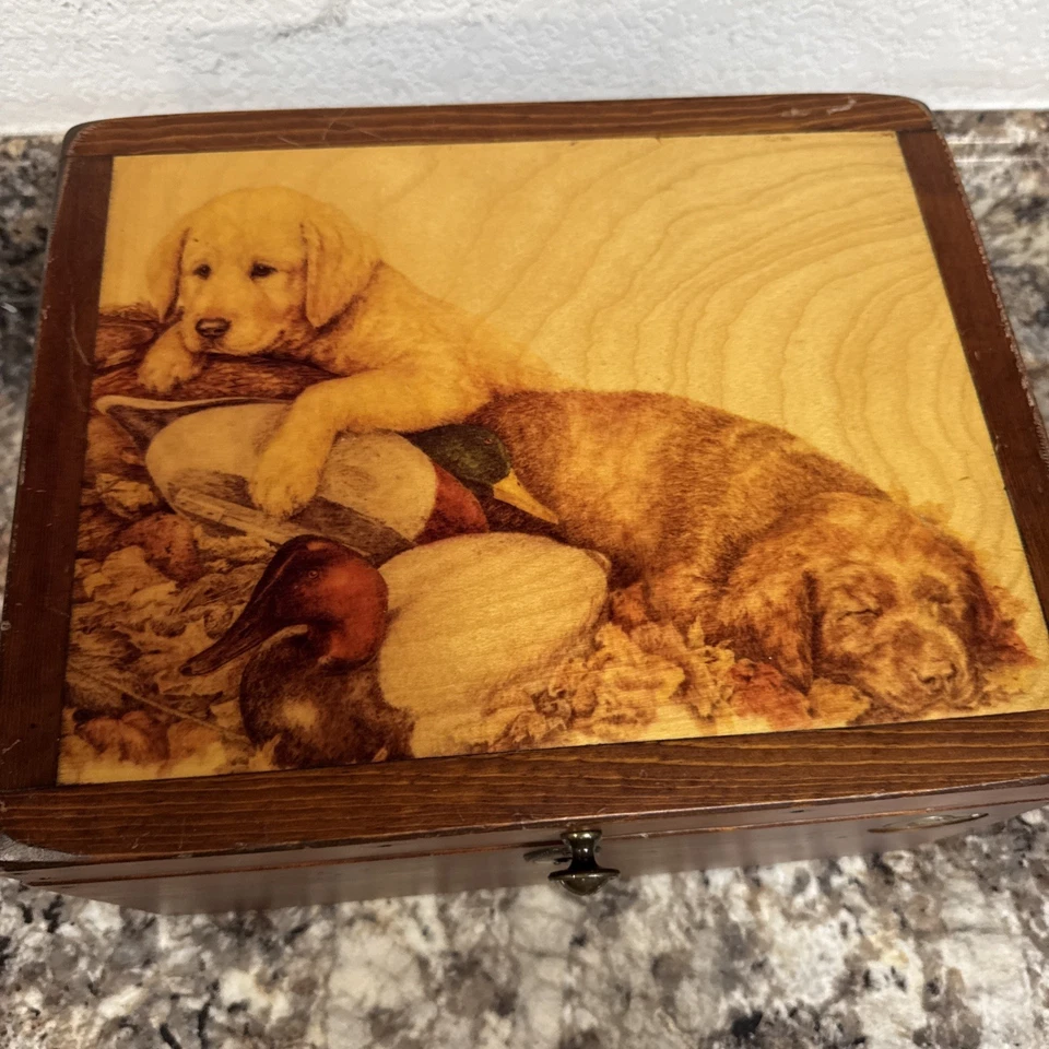 Caja de cofre de madera ilimitada vintage de patos cachorros de laboratorio Inglaterra 12x9x7 Foto 2 de 4
