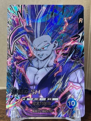 Bandai Dragon Ball Super Divers cards SDV10-SEC2 Son Gohan:SH Beast Trading card