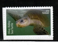 5870 * OLIVE RIDLEY ~ SEA TURTLES *   U.S. FOREVER Postage Stamp MNH