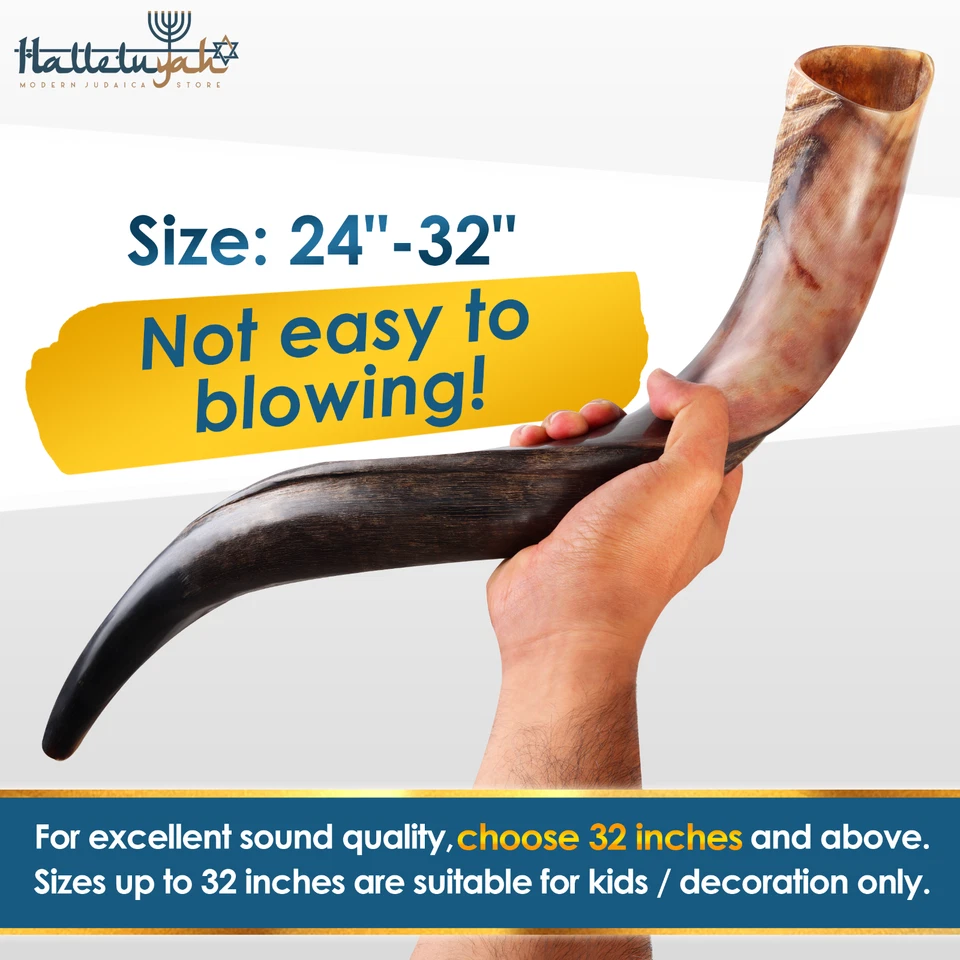 Juego de Shofar HalleluYAH 28"-32" Medio Cuerno Kudu Yemenita Plus Cuerno de Carnero de Bonificación Gratis Foto 2 de 4