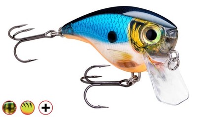 Rapala Wobbler BX-Big Brad - 7cm BXBB06 - viele Farben - 
