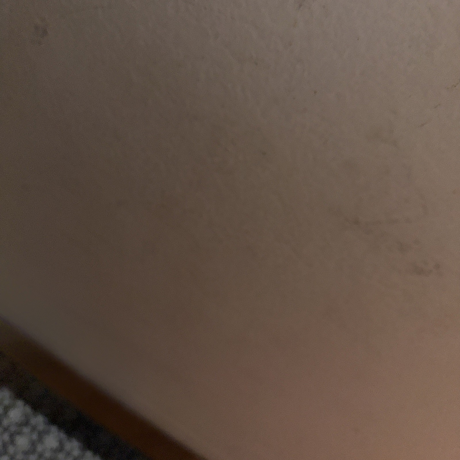 ❤️ 925 Sterling Silver Shell Toggle Bracelet Nati… - image 20