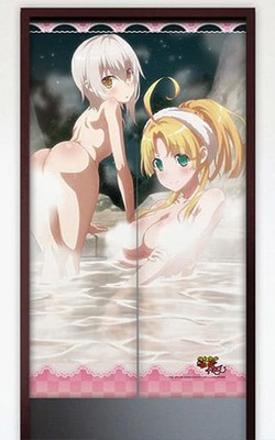 High School DxD Koneko Asia Noren Curtain Anime Collectible