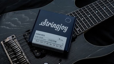 Stringjoy Custom 8 String Balanced Light Gauge (9.5-80) Nickel Wound
