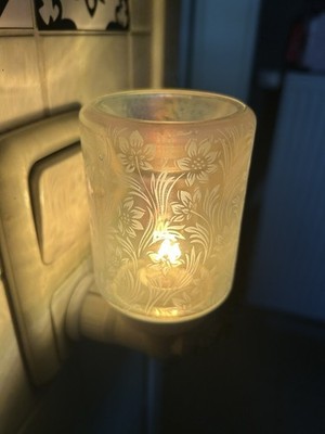 scentsy duftlampe steckdose Mint/Grün Blumenmuster