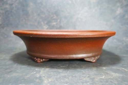 Olla Bonsai Japonesa Genuina "Zenigo" de Tokoname. - Imagen 5 de 14
