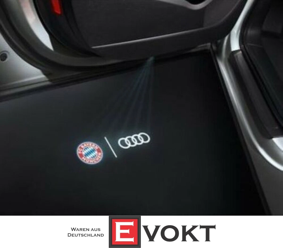 Audi rings 2024 door light