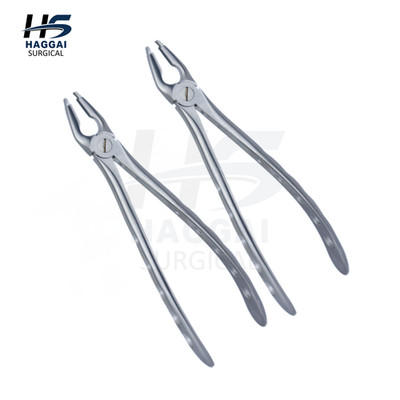 F1P Tooth Removal Forceps   Atraumatic Universal Grip, Stainless Steel 2 pcs