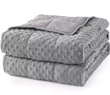 Mr. Sandman Weighted Blanket for Adults, Minky Dots Heavy Blanket for Woman,M...