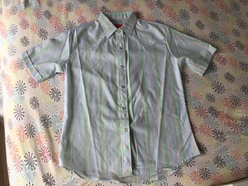 Vtg Ely Plains Women’s Pearl Snap Western Shirt Sz 14 Multicolor Stripe Short SL - 第 1/8 張圖片
