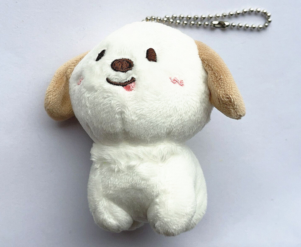 riizeソヒグッズ RIIZE - Acrylic Keyring [2025 RIIZE CONCERT TOUR 'RIIZING LOUD