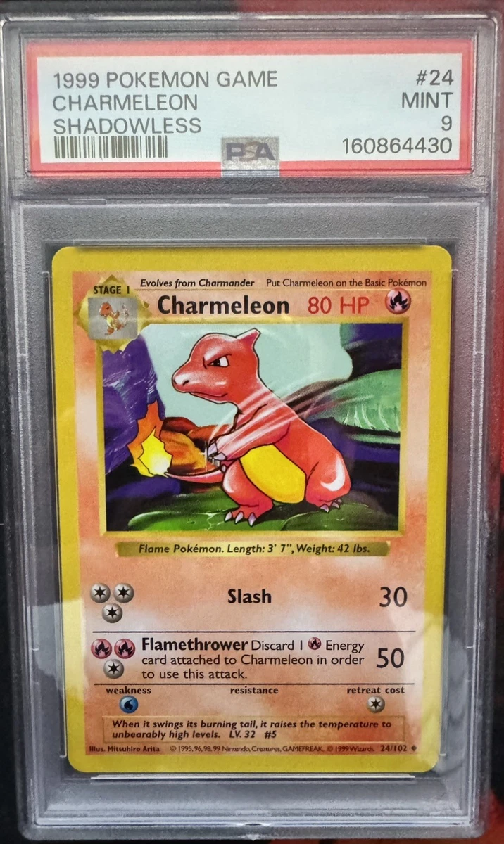 25+ Charmeleon Pokémon TCG Professional Sports Authenticator (PSA