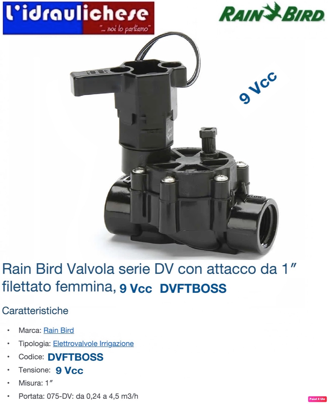 Foto 1 di 1