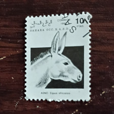 Spanish Sahara 10 Ptas Donkey Used Stamp 1980s Animals Spain Colonies