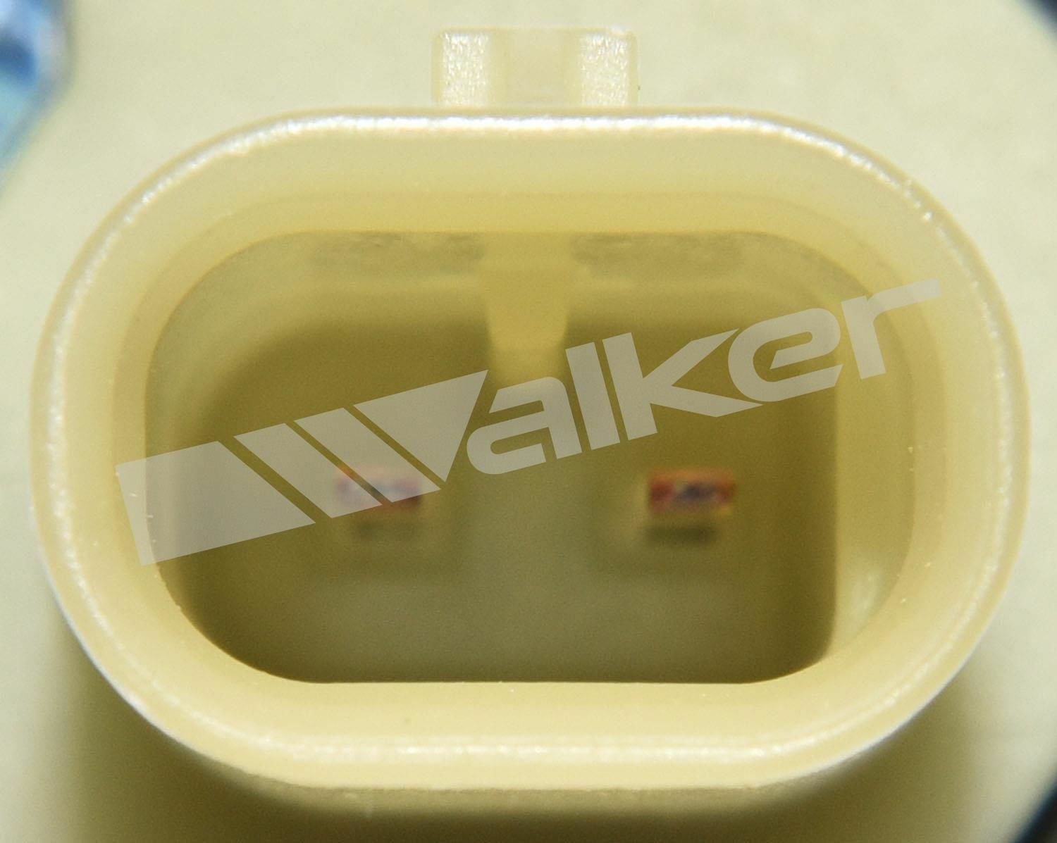 Engine Variable Valve Timing (VVT) SolenoidFLEX Walker Products 590