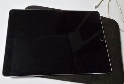 Apple iPad Pro (1st Generation)  256 GB - Silver