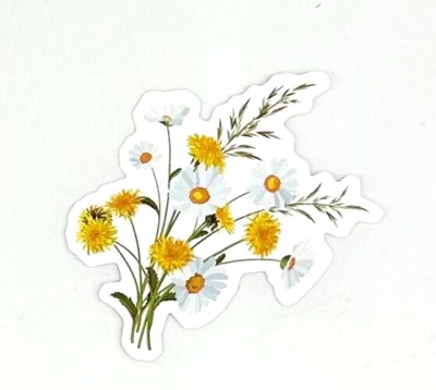 TDYです❁︎ s-l400.jpg