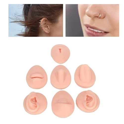 Fayelume 7PCS Piercing Practice Model Kit, Silicone Body Part Model For image 6