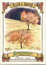 2021 Topps Allen & Ginter #AA-8 Cherry Tree Arboreal Appreciation
