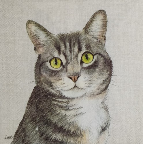 T504# 3 servilletas de papel individuales para decoupage granja gris atigrado cabeza de gato sobre lienzo - Imagen 2 de 10