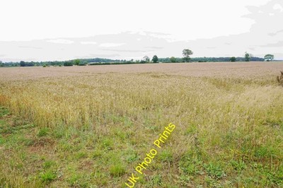 Foto A3 Ein noch zu erntendes Feld bei Stonesfield ziemlich spät Vergleich c2015