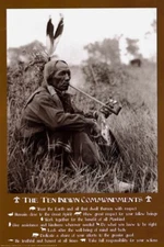 Laminated Ten Indian Commandments Native American Poster 24x36 inches