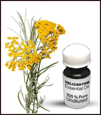 Helichrysum Essential Oil 100% Pure Undiluted Essential Oil Premium Quality