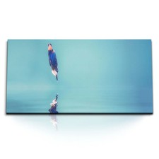 120x80cm Kunstdruck Bilder Eisvogel Blau Hellblau Tierfotografie kleiner Vogel