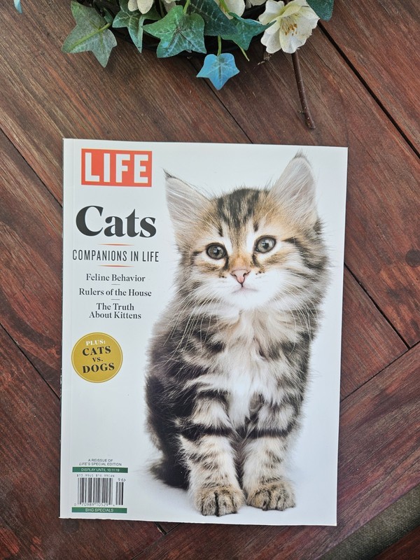 LIFE Magazine Cats Companions in Life Special Edition 2019 Reissue