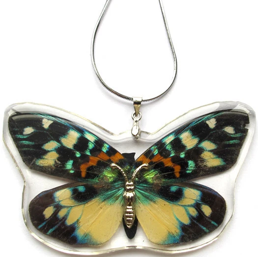 2 1/2" ¡NUEVO! COLLAR MARIPOSA INSECTO REAL AMARILLO ROJO NEGRO COLGANTE Joyería Foto 2 de 2