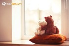 Bild 6 von 8
