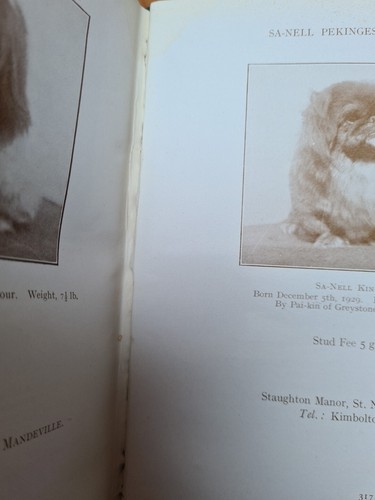 The Pekingese Dog 1932 1st Edition hardback book by Mrs Ashton Cross - 第 9/11 張圖片