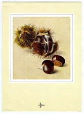 Swissair Premiere 1st Class Menu Europe 1980's The Chestnut Cover