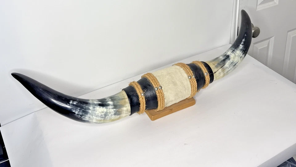 CUERNOS DE TORO DE NOVILLO MONTADOS 3' (36 pulgadas) punta a punta cuernos de toro de vaca cuernos largos Foto 2 de 2