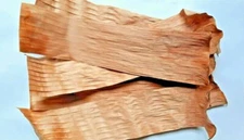 Natural Banana Dried Leaves Pet Supplies Fish Aquarium Ceylon 50 Pcs 7cm-20cm