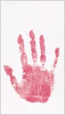 seduttore japp 9788838472121