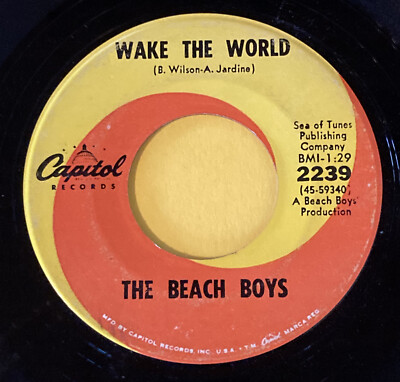 45 rpm Vinyl THE BEACH BOYS Do It Again & Wake The World 1968