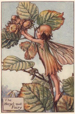 Haselnussfee von Cicely Mary Barker. Herbstblumenfeen um 1935 alter Druck