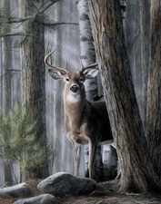 Solitary Buck by Kevin Daniel Fine Art Print Wildlife Deer Hunting Poster 24x30