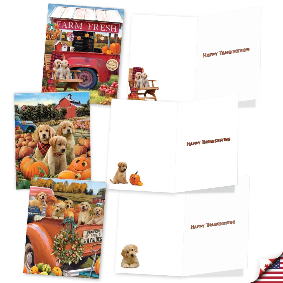 20 tarjetas de acción de gracias Asst'd con sobres (10 diseños 2 cada uno) cachorros calabaza Foto 4 de 4