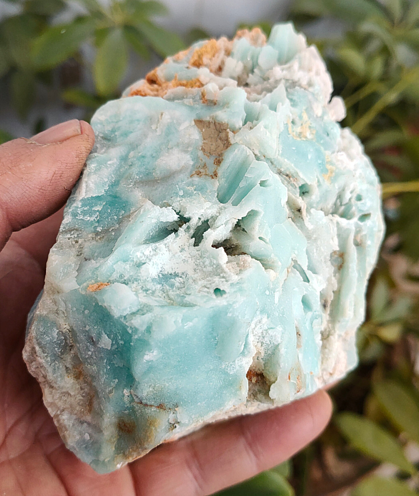 Picture 2 of 11