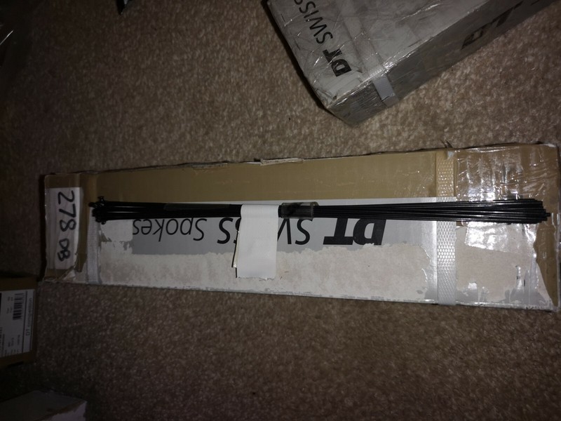 DT SWISS Competition Double Butted Spokes 278mm 2.0 1.8 2.0 Black Stainless...
