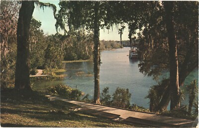 #ad #ad Beautiful View Of The Main Springs Of The Rainbow River Ocala Florida Postcard $19.20