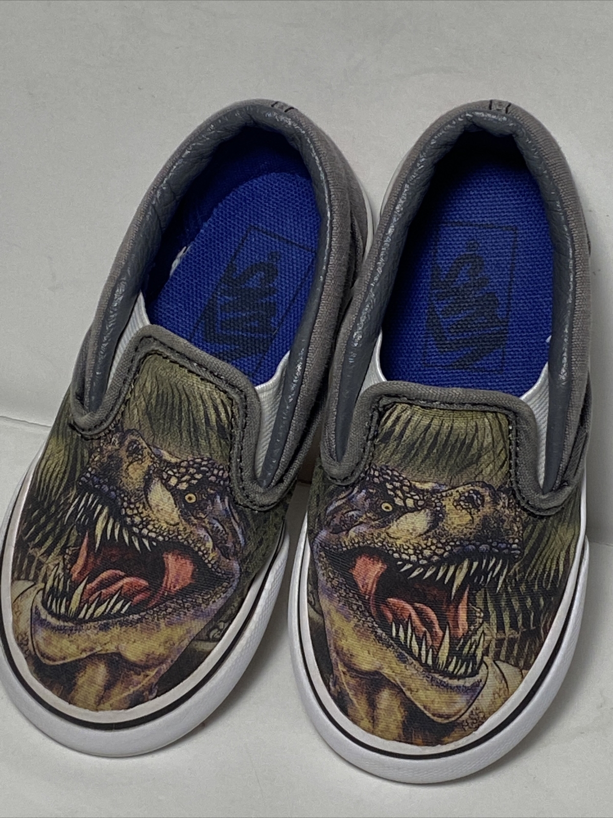 dinosaur vans slip ons