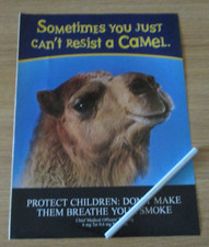 Camel Cigarette  Advert Sometimes you just can't resist a Camel 222 x 298 mm