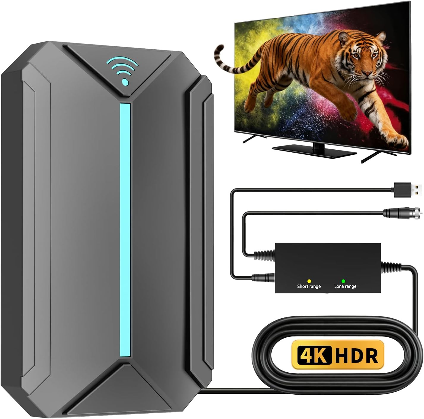 Antenna TV Interna Amplificata 1200 Miglia 4K