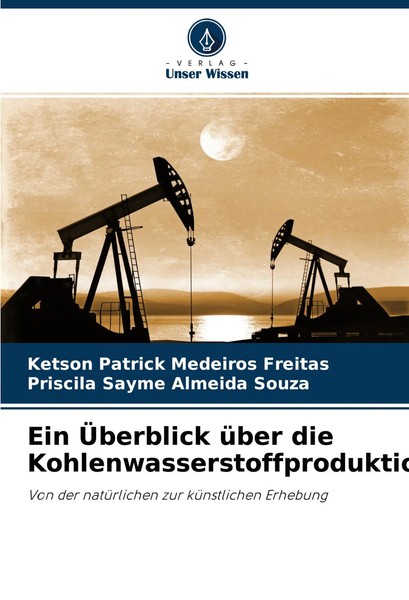 Ketson Patrick Medeiros Freitas (U. A.) | Ein ÜBerblick üBer Die...-image