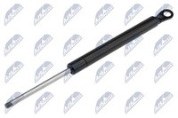 Heckklappen DäMpfer Gasfeder Kofferraum Nty AE-CT-008 FüR CitroËN C5 1 Break 16V