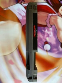 WCW World Championship Wrestling (Nintendo NES) Tested